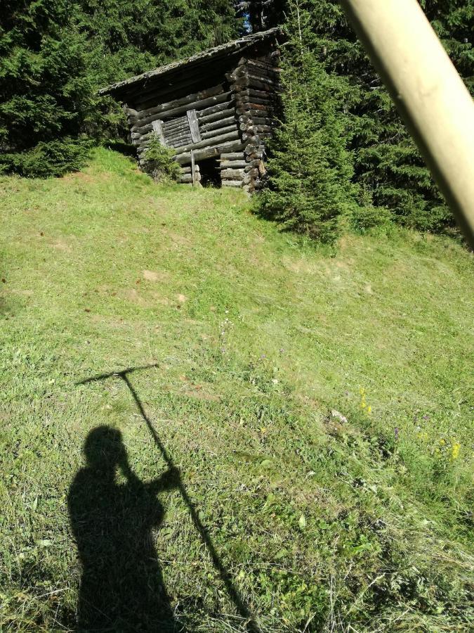 Bichlerhof Διαμέρισμα Hopfgarten in Defereggen Εξωτερικό φωτογραφία