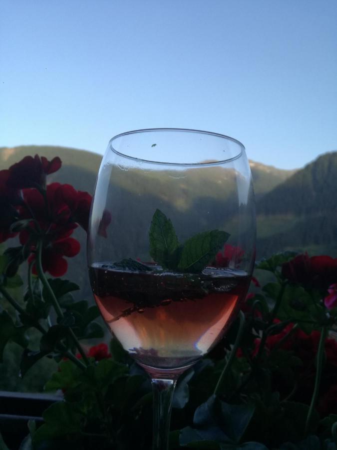 Bichlerhof Διαμέρισμα Hopfgarten in Defereggen Εξωτερικό φωτογραφία